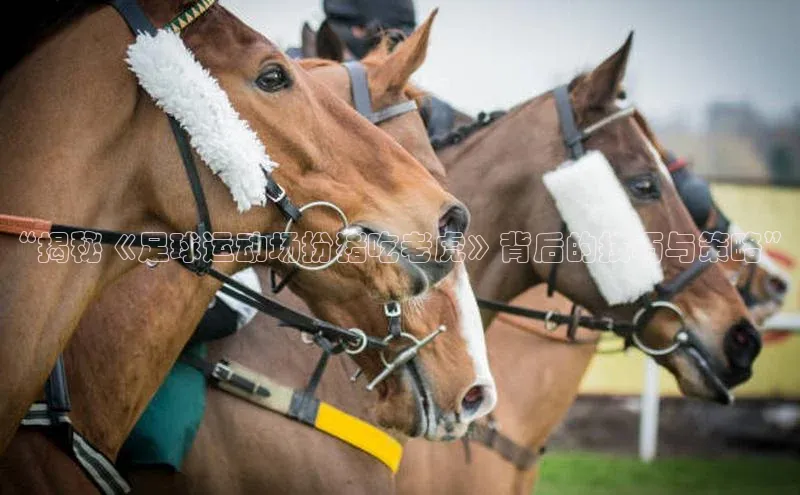k1体育在线登录神思电子“揭秘《足球运动场扮猪吃老虎》背后的技巧与策略”