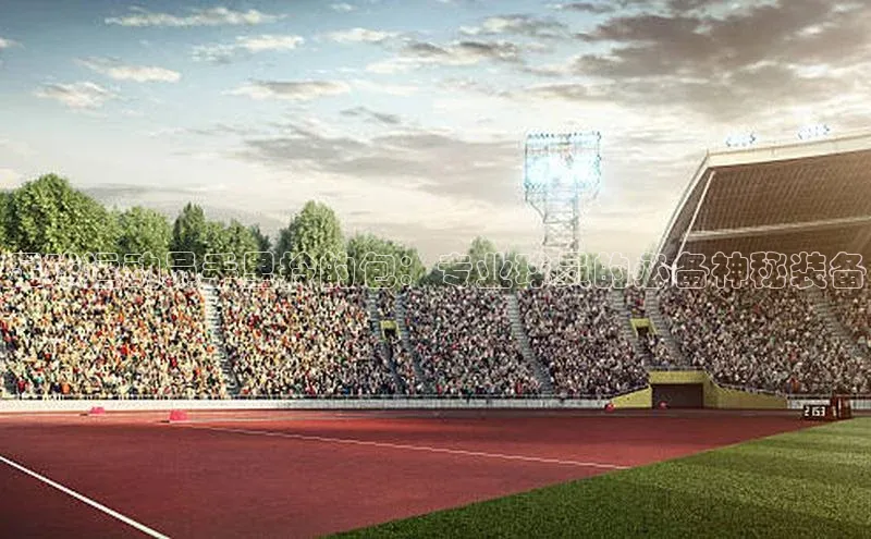 k1·体育app下载引力传媒足球运动员手里拎的包：专业球员的必备神秘装备