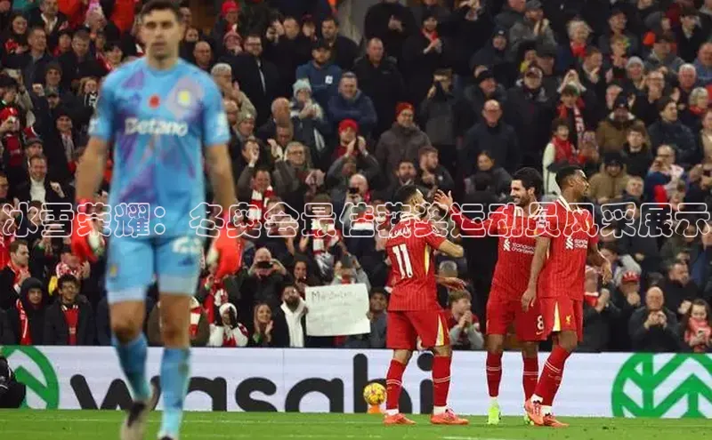 冰雪荣耀：冬奥会最佳获奖运动员风采展示