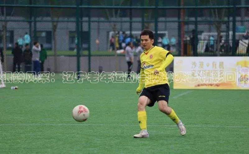 银龄风采：辽宁老年运动会网球赛事精彩回顾