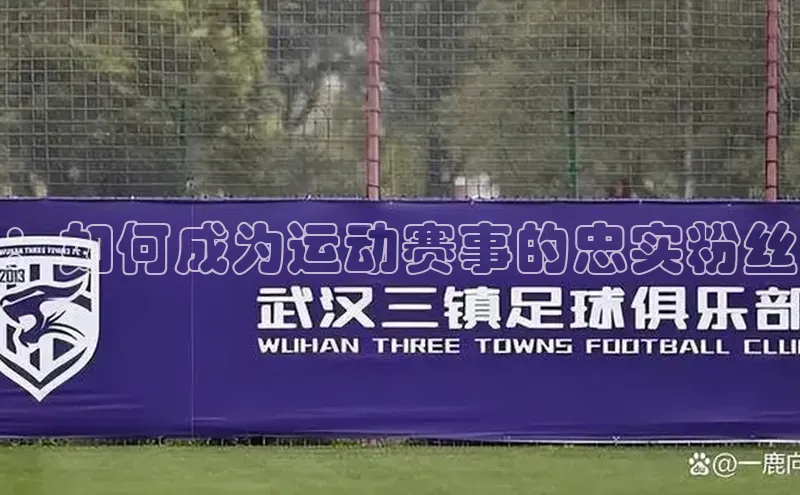 ：如何成为运动赛事的忠实粉丝