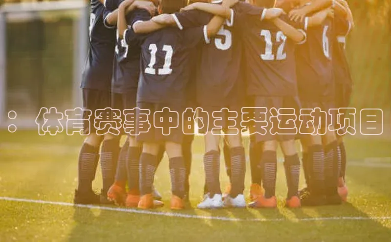 ：体育赛事中的主要运动项目