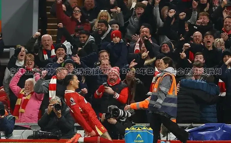 奥林匹克精神下的全球竞技之旅：2024年巴黎奥运会的精彩瞬间