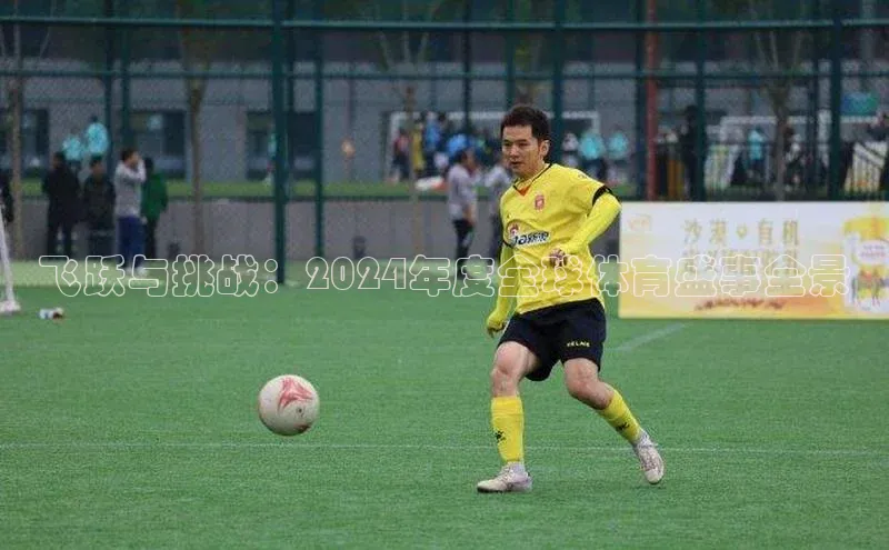 飞跃与挑战：2024年度全球体育盛事全景