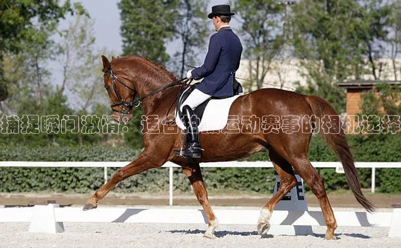 捕捉瞬间激情：适合拍摄运动赛事的相机选择