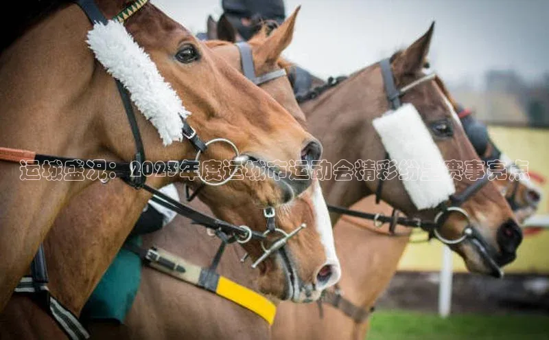 运城盛况：2023年度运城市运动会精彩纷呈赛事亮点