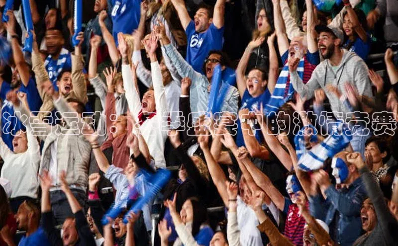 冰雪运动：冬季盛宴中的激情竞赛