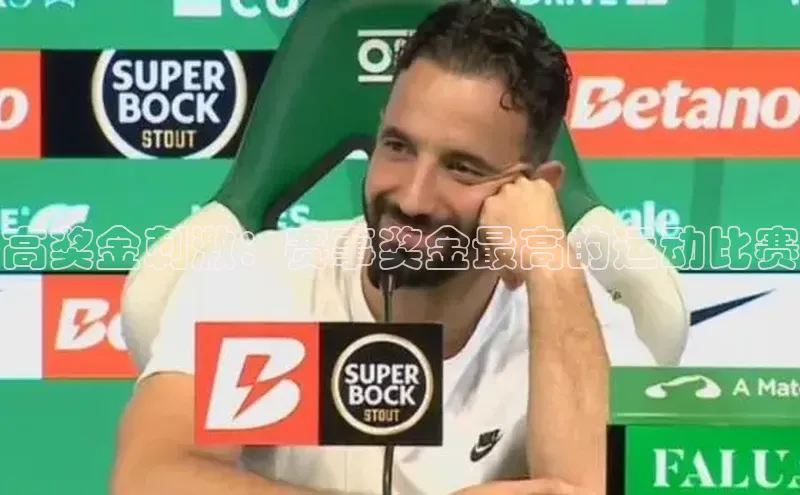 高奖金刺激：赛事奖金最高的运动比赛