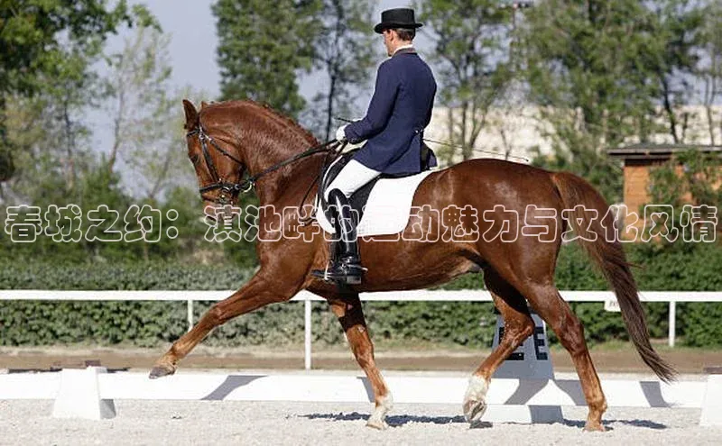 春城之约：滇池畔的运动魅力与文化风情