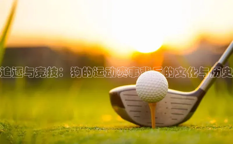 追逐与竞技：狗的运动赛事背后的文化与历史