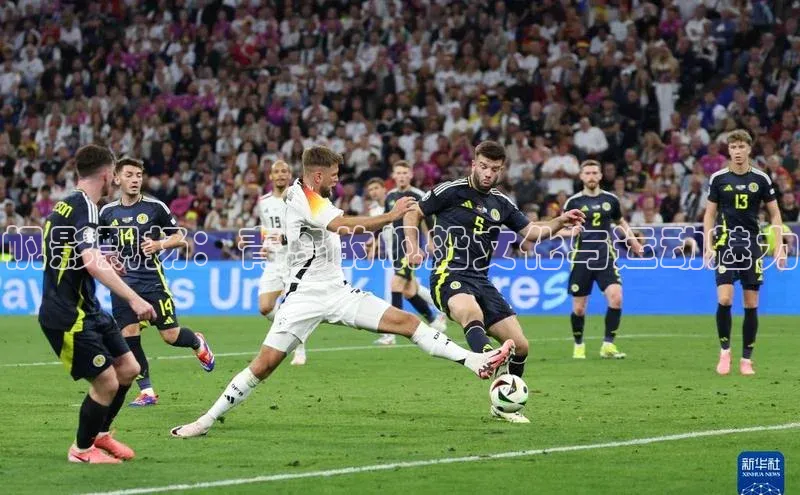 帆影飘扬：青岛的帆船文化与运动魅力